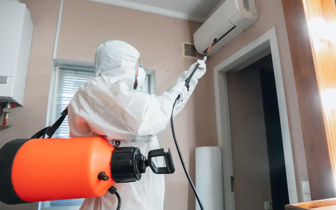 PPWR a harmonogramy inwestycji w infrastrukturę energetyczną w samorządach – dlaczego warto śledzić nowe regulacje